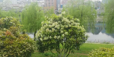 沿河烏江國家濕地公園