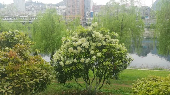 沿河烏江國家濕地公園