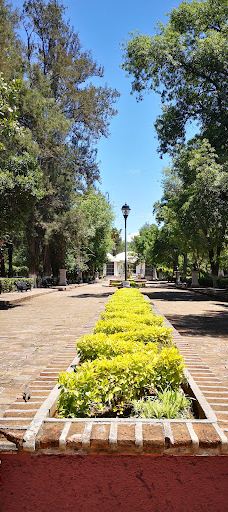 Orquidario de Morelia-莫雷利亚