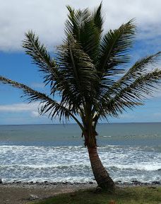 Ko'olau Forest Reserve-茂宜县