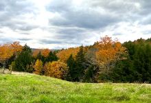Four Springs Farm & Campground景点图片