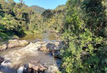 Ranomafana Soarano Trail景点图片