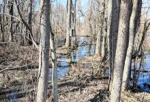 Riverwalk Nature Trail Central New Land Trust景点图片