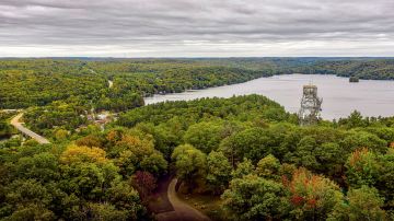 Dorset Lookout Tower