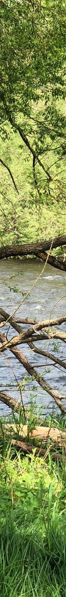 Barfusspfad Bad Sobernheim-索伯恩海姆