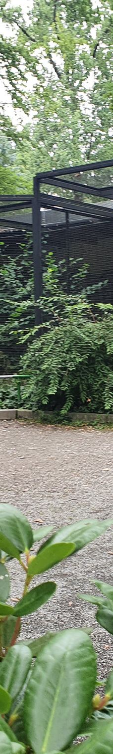 Chemnitz Zoo-开姆尼茨