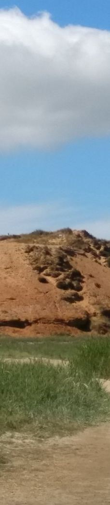 Morsum-Kliff-摩尔苏姆