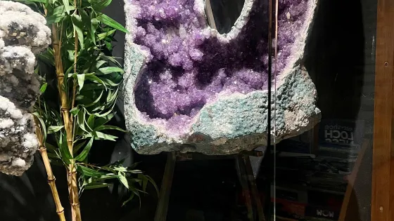 Treasures of the Earth