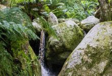 Marloth Nature Reserve景点图片