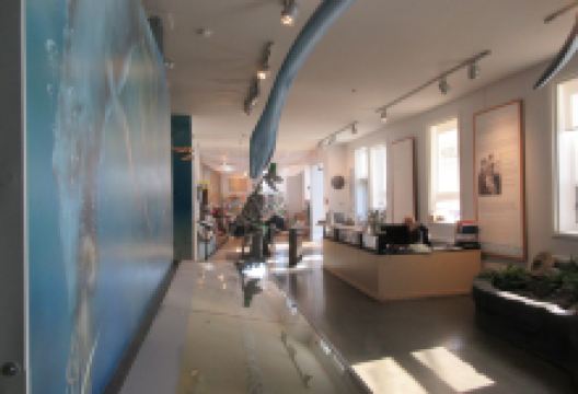 Courtenay & District Museum & Paleontology Centre景点图片