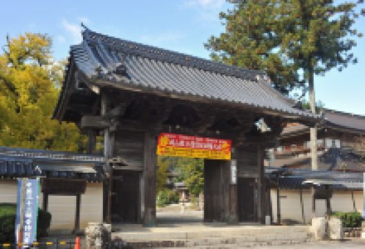 诞生寺景点图片