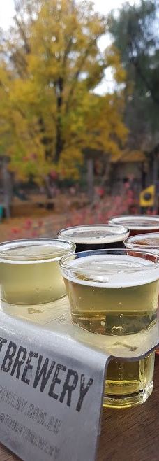 Bright Brewery-布莱特