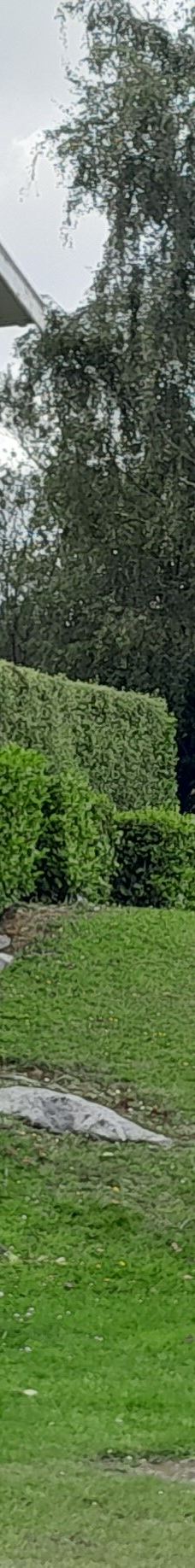 Ngarua Caves-Takaka Hill