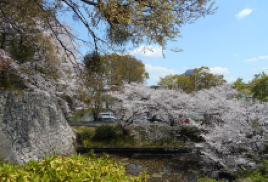 久留米城景点图片