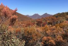 Wilpena Panorama景点图片