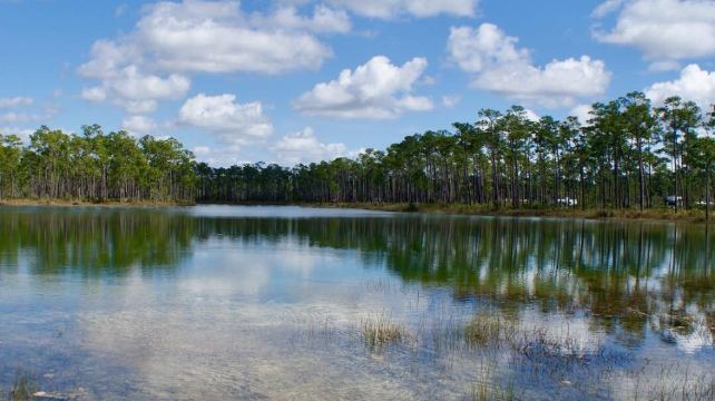 4-Day Miami Tour·Key West, South Beach, Everglades, Wynwood Walls, Miami Beach | Small Group