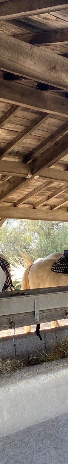 Domaine de la Palissade-阿尔勒