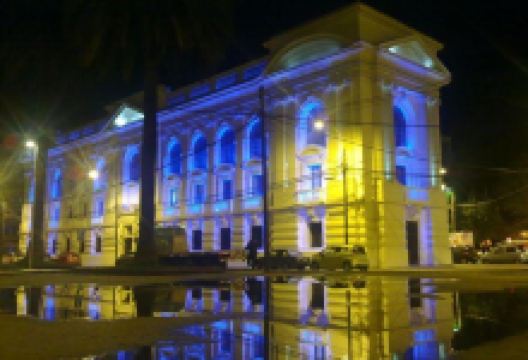 Biblioteca Santiago Severin景点图片