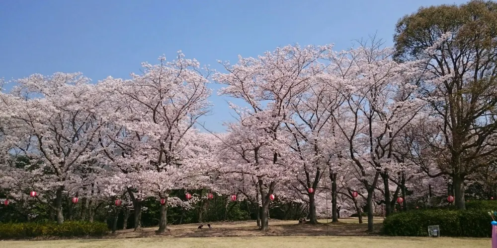 兵庫縣立播磨中央公園|加東市兵庫縣立播磨中央公園玩樂門票預訂|兵庫縣立播磨中央公園旅遊攻略2026-永安旅遊