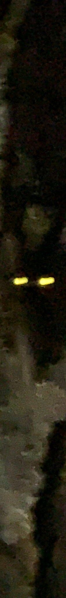 Finca Cantaros-圣维托