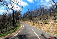 Marysville State Forest景点图片