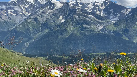 若利山口