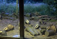 Tewin Orchard Nature Reserve景点图片