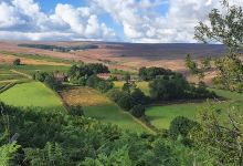 Hutton-le-Hole Holidays景点图片