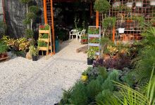 Vivero Cayenas Del Sur购物图片