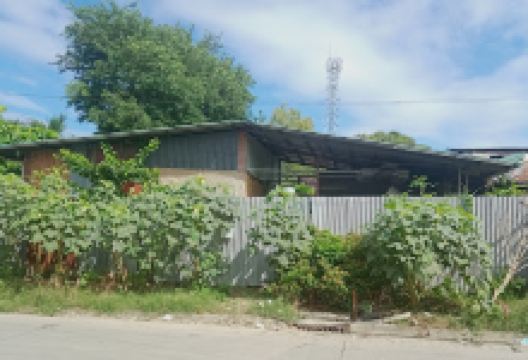 Ateng Kulot Plants and Garden Supplies景点图片