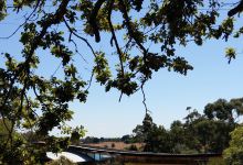 Hawkesdale Apex Campsite景点图片