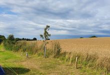Shrublands Farm B & B & Caravan Site景点图片