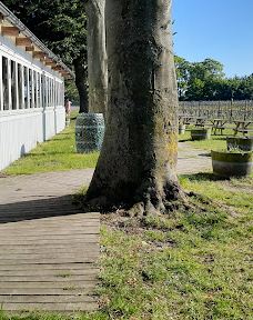 Vingaarden, Lille Gadegaard ( Vineyard )-阿克尔科拜