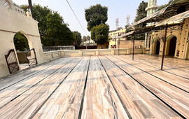 Mehtab Delhi Fish Point