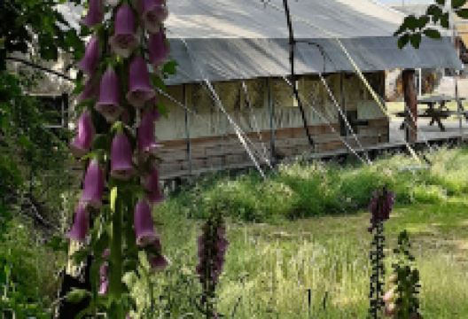 Minicamping de Schietberg景点图片