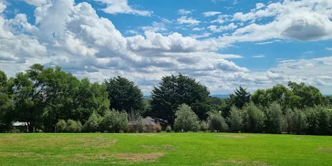 Badger Creek Blueberry Farm