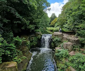 Paddy Freeman's Park