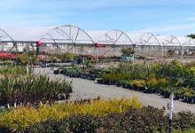 Watson's Garden Ltd购物图片