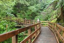 Ross historic goldfields景点图片