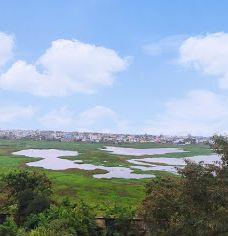 Gadchiroli Lake-加德奇罗利