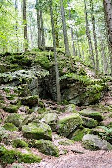Vlčí výběh Srní (podívání zvenku)-斯尼