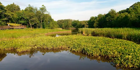 新潟縣立大潟水與森公園