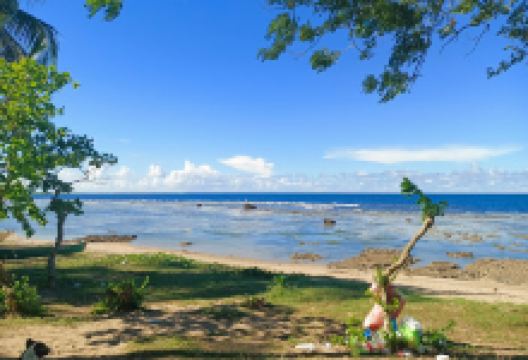 Alma Beach景点图片
