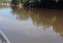 RANCHO VÔ CABORGE景点图片