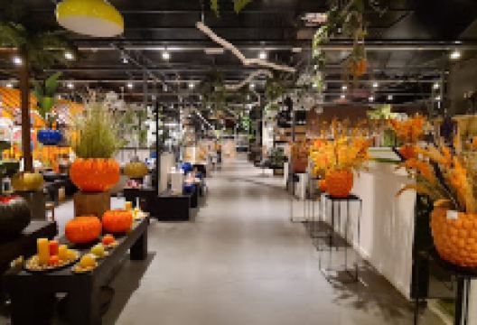 Garden Center Defever BVBA购物图片