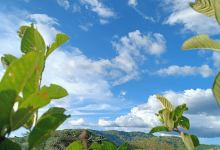 Cementerios San José de Soroguara景点图片