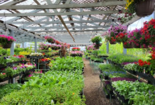 Boring Square Garden Center购物图片