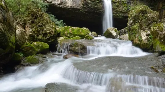 曾家山花千谷