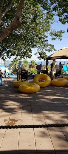 Wet 'N' Wild Waterworld-安东尼