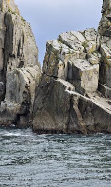 Kenai Fjords Tours-西沃德